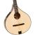 Traditional electro acoustic irish concert bouzouki , 8 strings ,maple body with spruce top