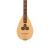 HEARTLAND WILDWOOD DULCIMER BANJO, 4-STRING NUSSBAUM