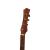 HEARTLAND WILDWOOD DULCIMER BANJO, 4-STRING NUSSBAUM