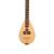 HEARTLAND WILDWOOD DULCIMER BANJO, 4 STRING VARIEGATED WALNUT LACEWOOD