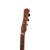 HEARTLAND BOSCO SELVAGGIO DULCIMER  BANJO, 4 STRING NOCE VARIEGATA  Lacewood