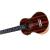 HEARTLAND TENOR UKULELE EBONY WITH EQ