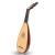 Heartland Travel Lute 8 Course Rosewood Left Handed