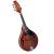 HEARTLAND MANDOLIN MAHOGANY ELECTRO ACOUSTIC  GLANZ