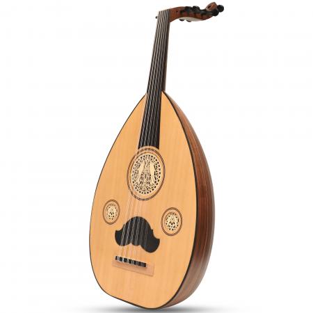 HEARTLAND ARABIC OUD, 12 CORDES NOYER