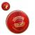 Bounce Cricket Ball (Red)