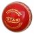 Star Cricket Ball (Red)