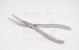 Asch Septum Forceps 23 cm