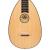 Lute Guitar, 6 String Variegated Lacewood Rosewood