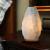 Lampe 100% naturelle rare de sel gemme de l'Himalaya blanc sur base en bois pour la décoration intérieure