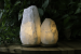 Himalayan Glow Natural White Salt Lamp Nachtlampje met houten voet/zoutlamp