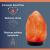 Salt Lamp with Dimmer Swtich 100% Natural Himalayan Rock Shape Wooden Base