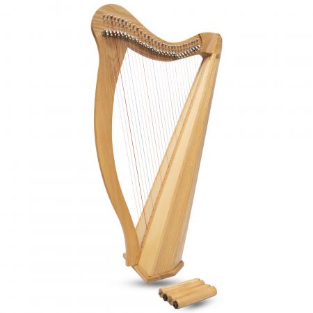 Muzikkon 29 String Ard Ri Harp Ashwood