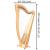 MCHUGH AYRA HARP 38 STRINGS ASHWOOD