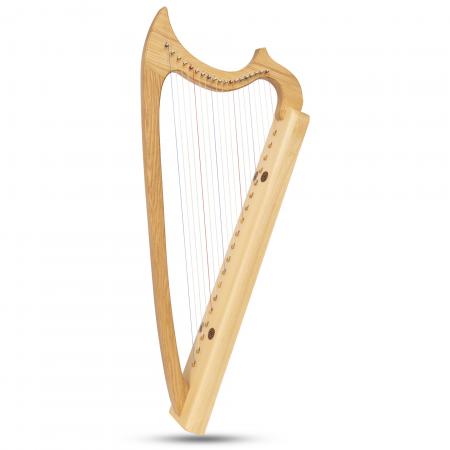 Muzikkon Gothic Harp 19 String Ashwood